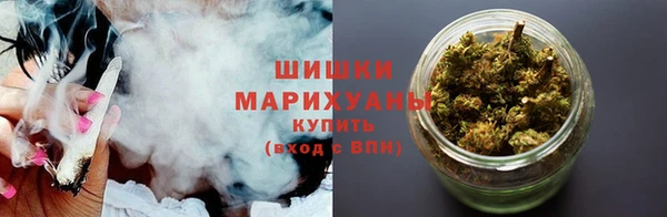 молекула духа Бородино