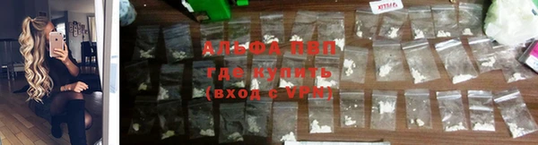 PSILOCYBIN Магадан