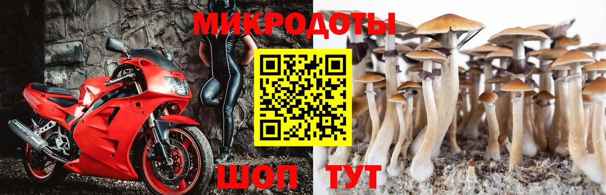 Псилоцибиновые грибы Psilocybe Маркс