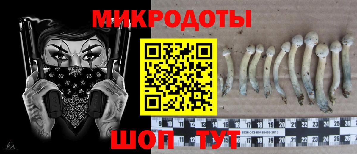 Псилоцибиновые грибы GOLDEN TEACHER  Маркс  Псилоцибиновые грибы Magic Shrooms 