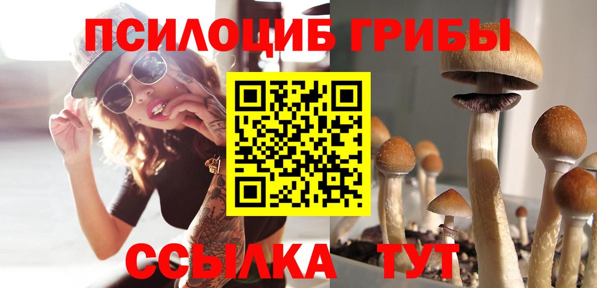 Галлюциногенные грибы прущие грибы  Вход с VPN  Маркс 